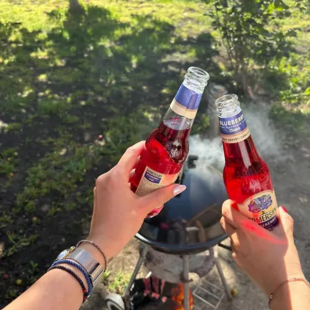 וילה къща каменар *