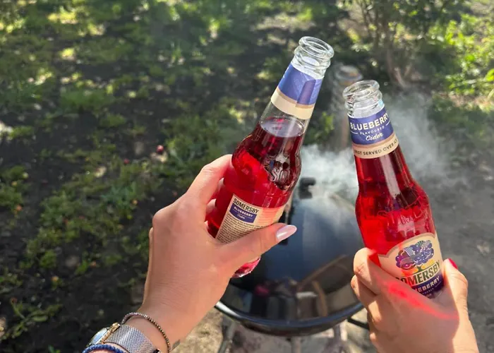 Villa къща каменар *